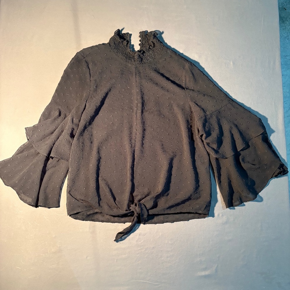 Ivy Jane Textured Ruffle sleeve Blouse
